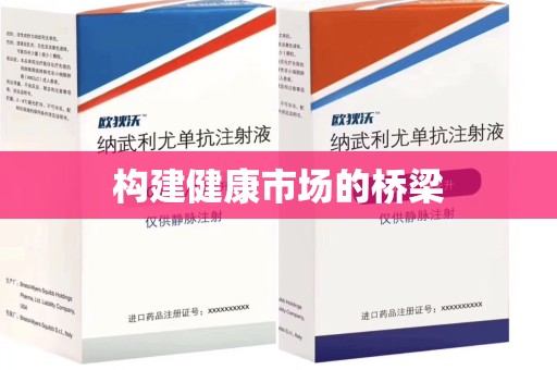 大连构建健康市场的桥梁
