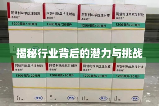 大连揭秘行业背后的潜力与挑战