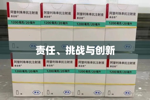 大连责任、挑战与创新