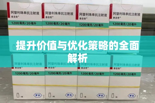 大连提升价值与优化策略的全面解析