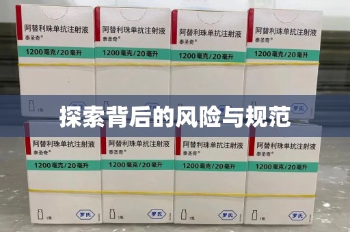 大连探索背后的风险与规范