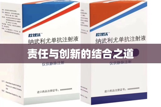 大连责任与创新的结合之道